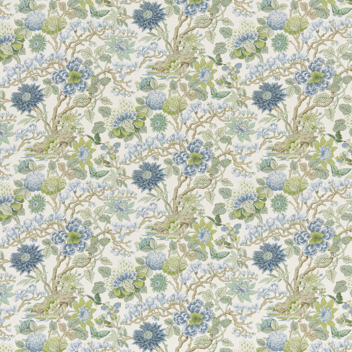 Little Magnolia-Willow
