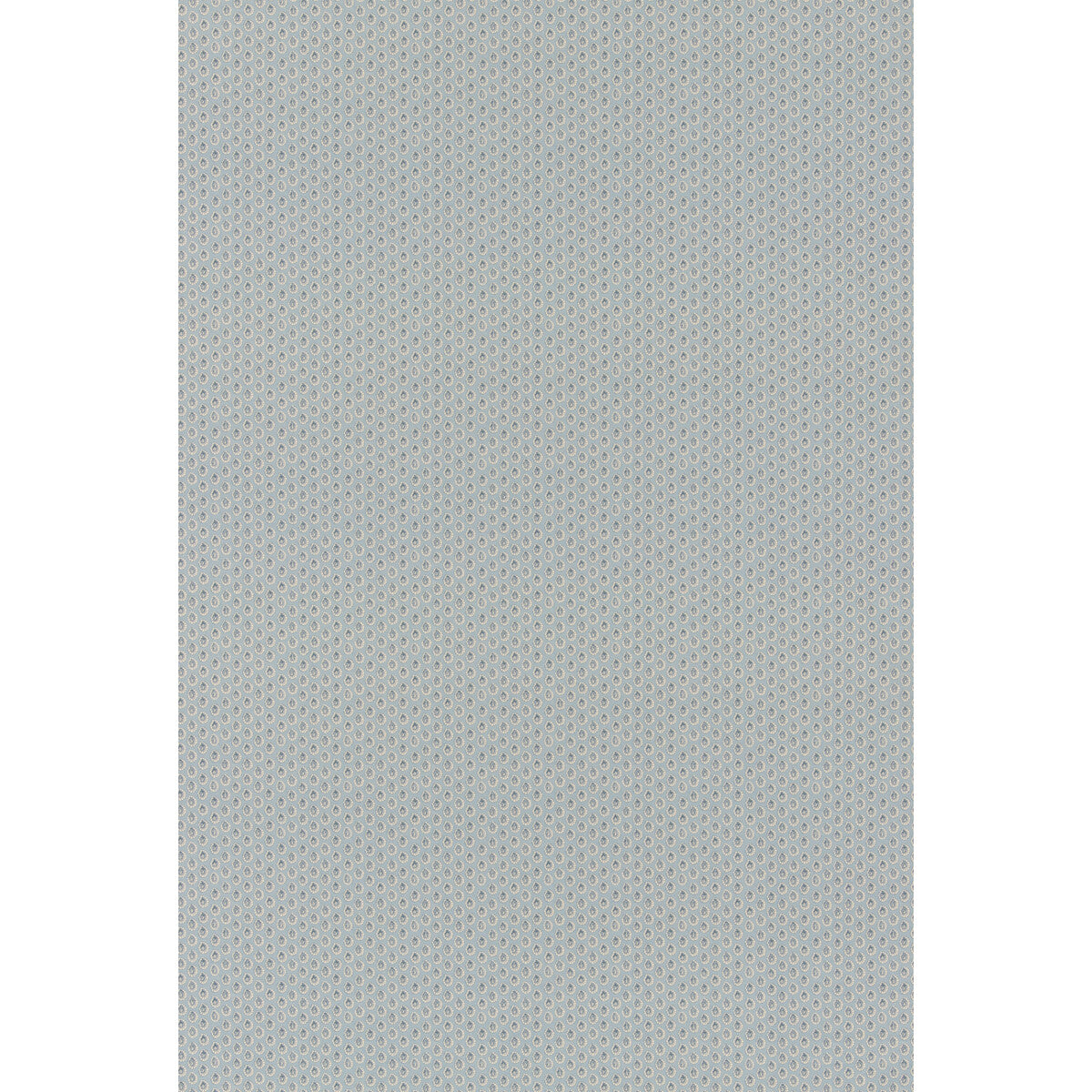 Dotty-Blue