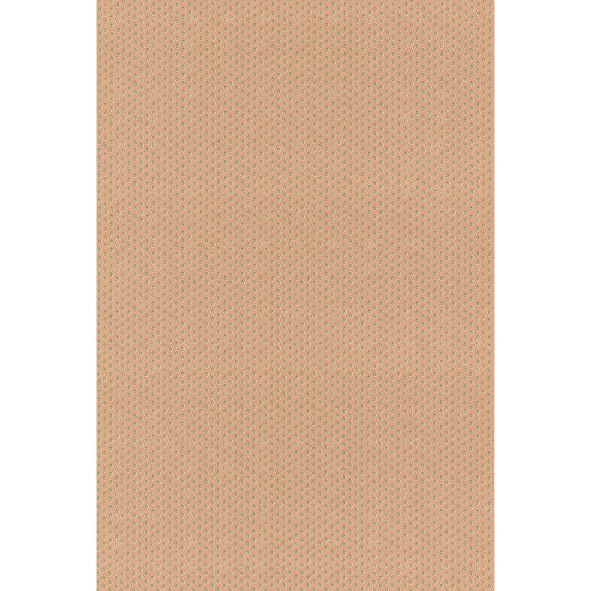 Dotty-Blush