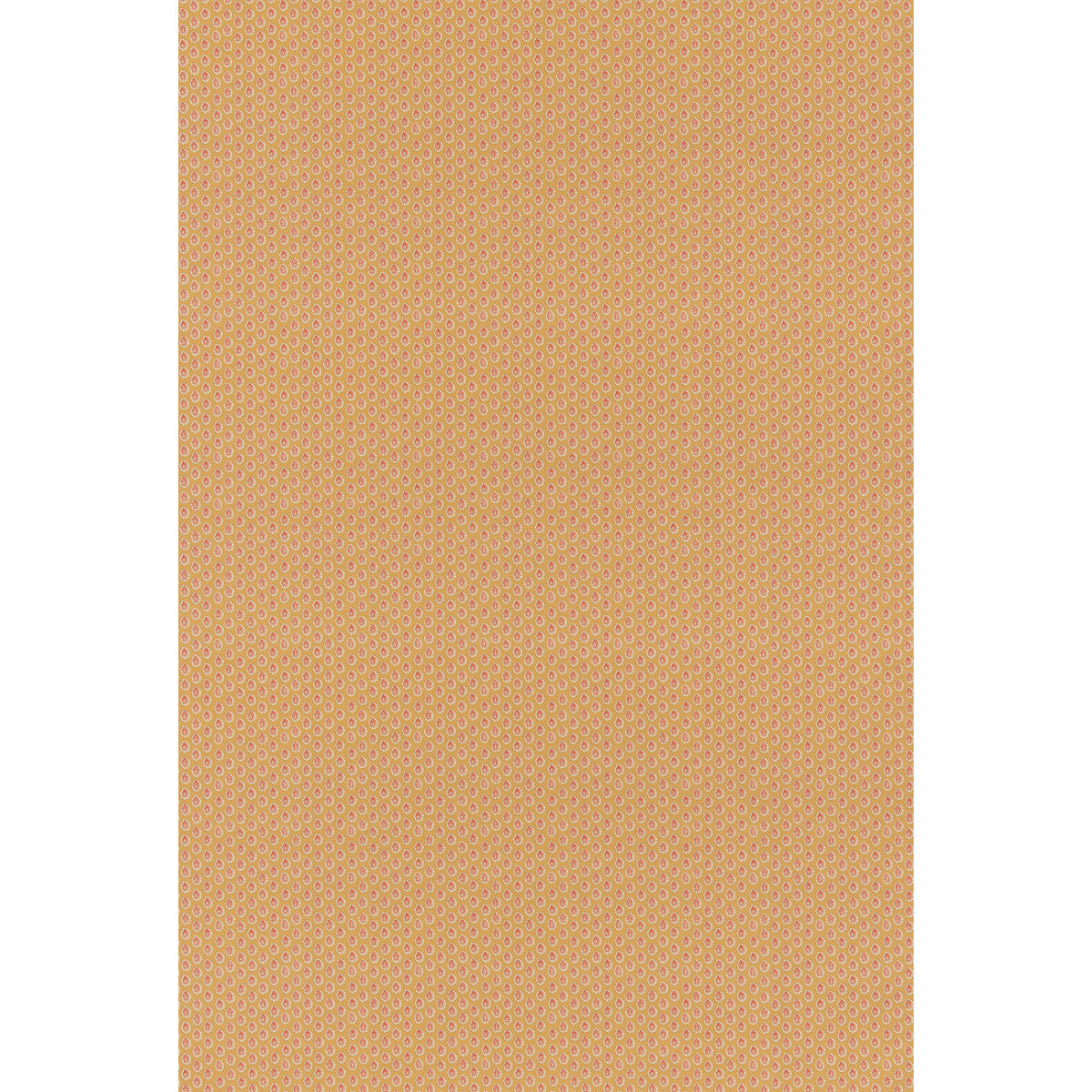 Dotty-Ochre