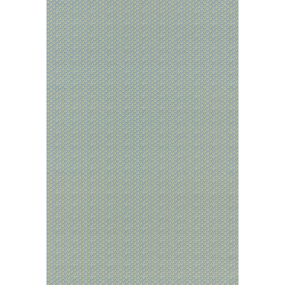 Dotty-Blue/Green