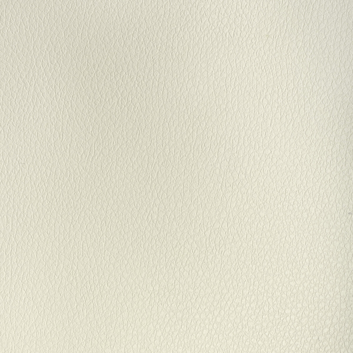 Kravet Design-Buff-1116