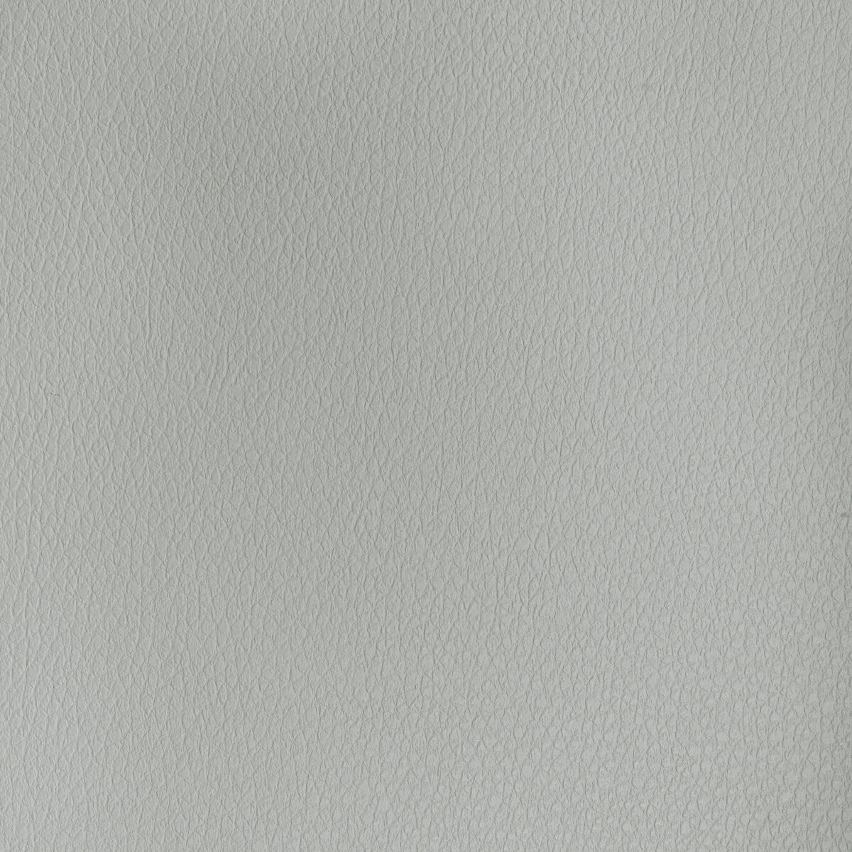 Kravet Design-Buff-11