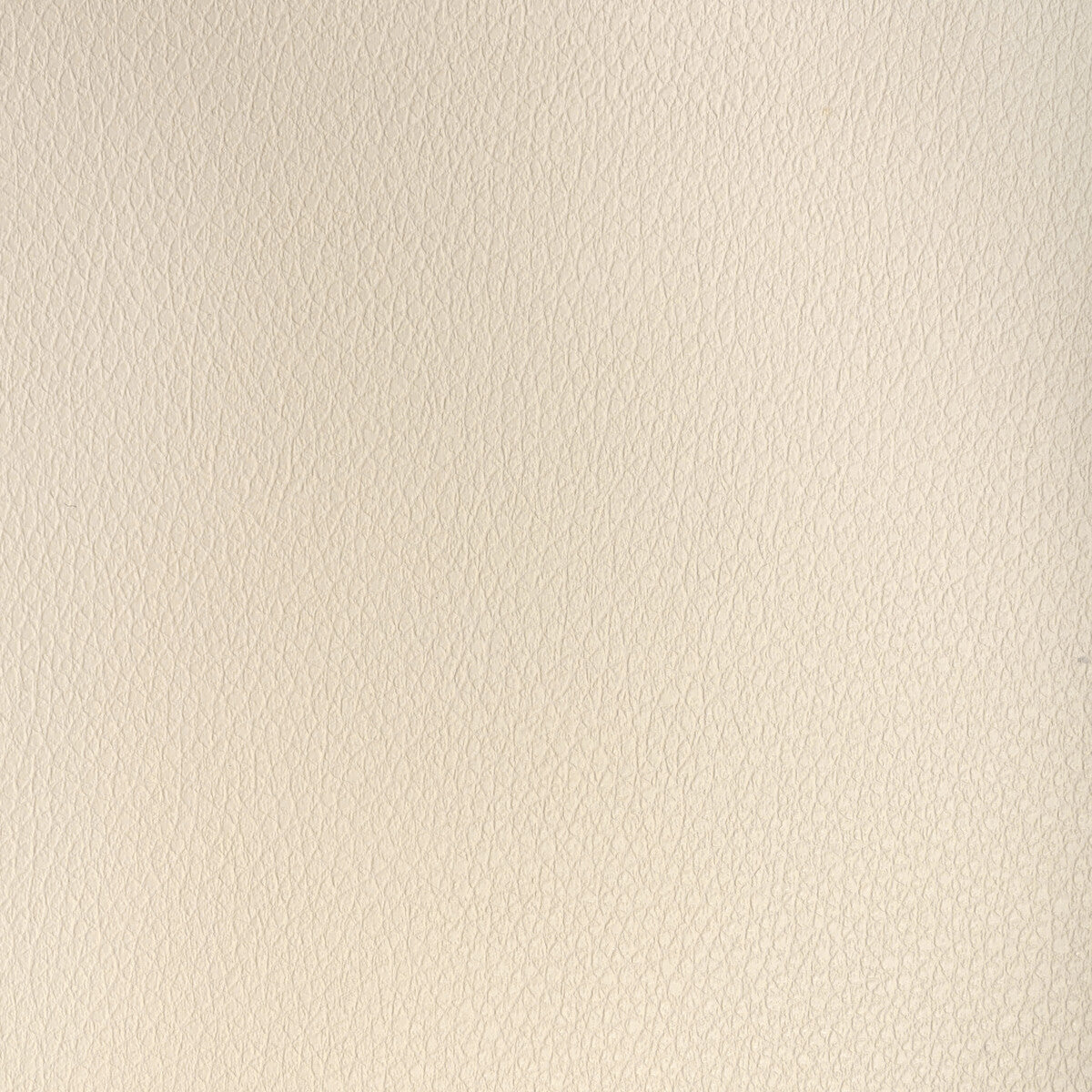 Kravet Design-Buff-16
