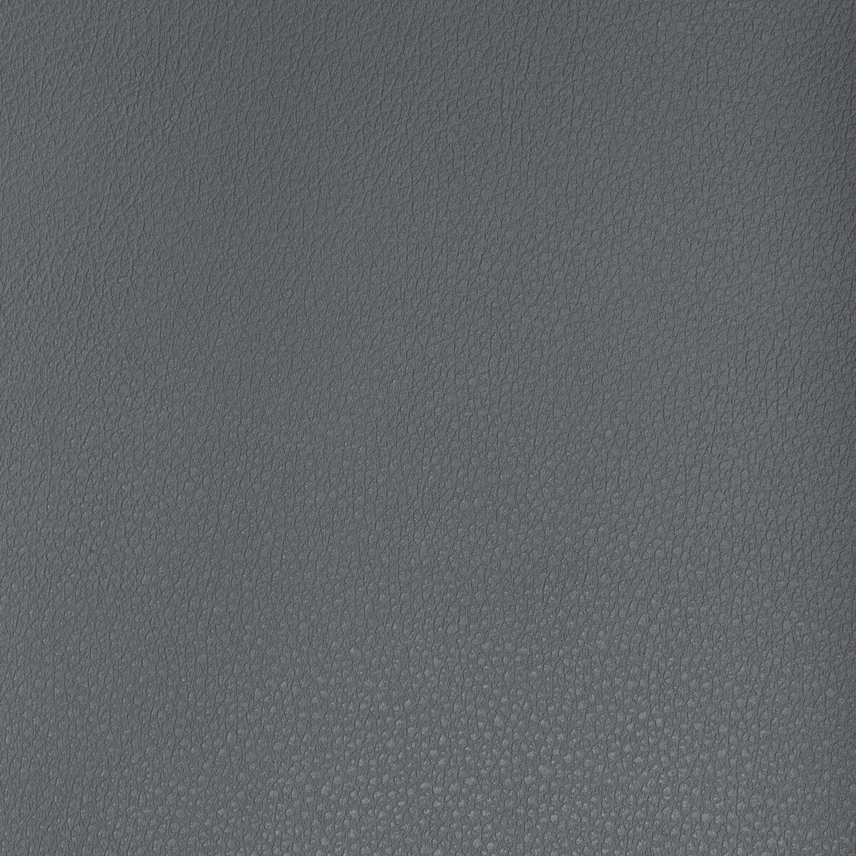 Kravet Design-Buff-21
