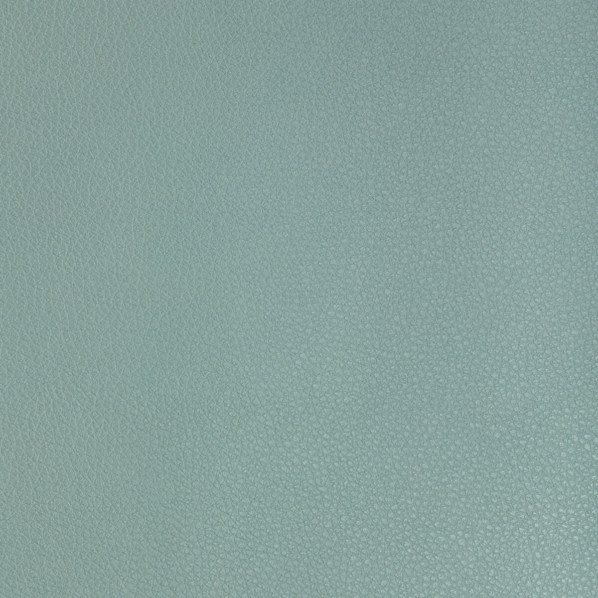 Kravet Design-Buff-313