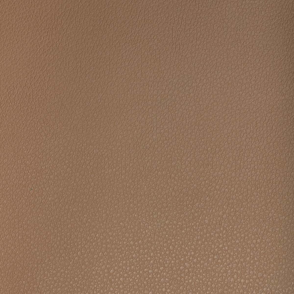 Kravet Design-Buff-6