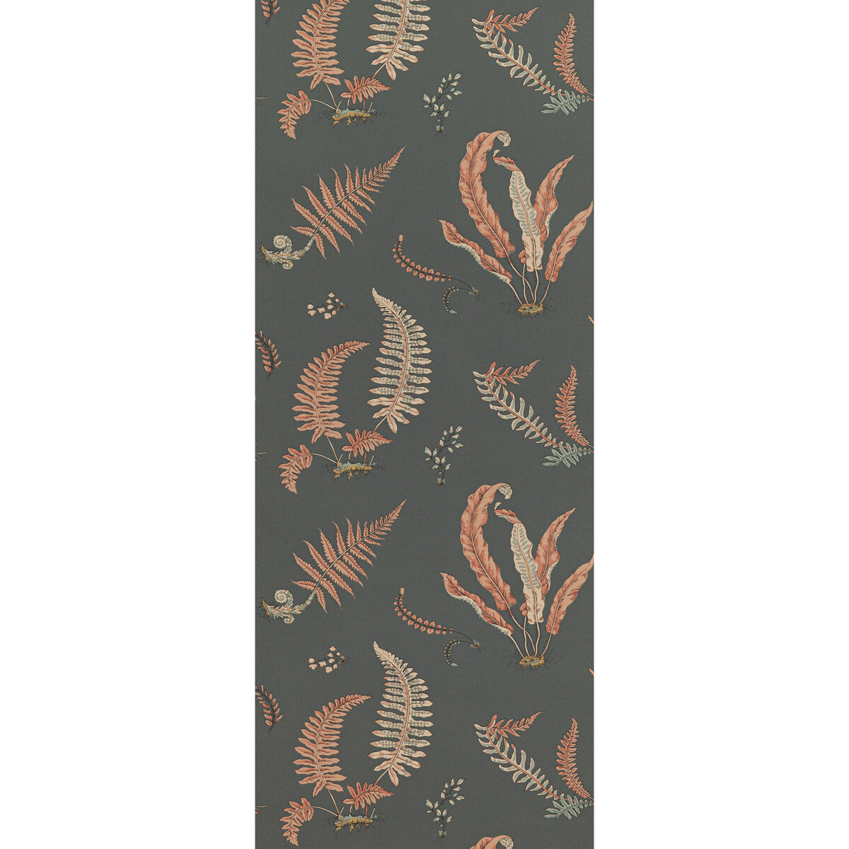 Ferns-Coral/Charcoal