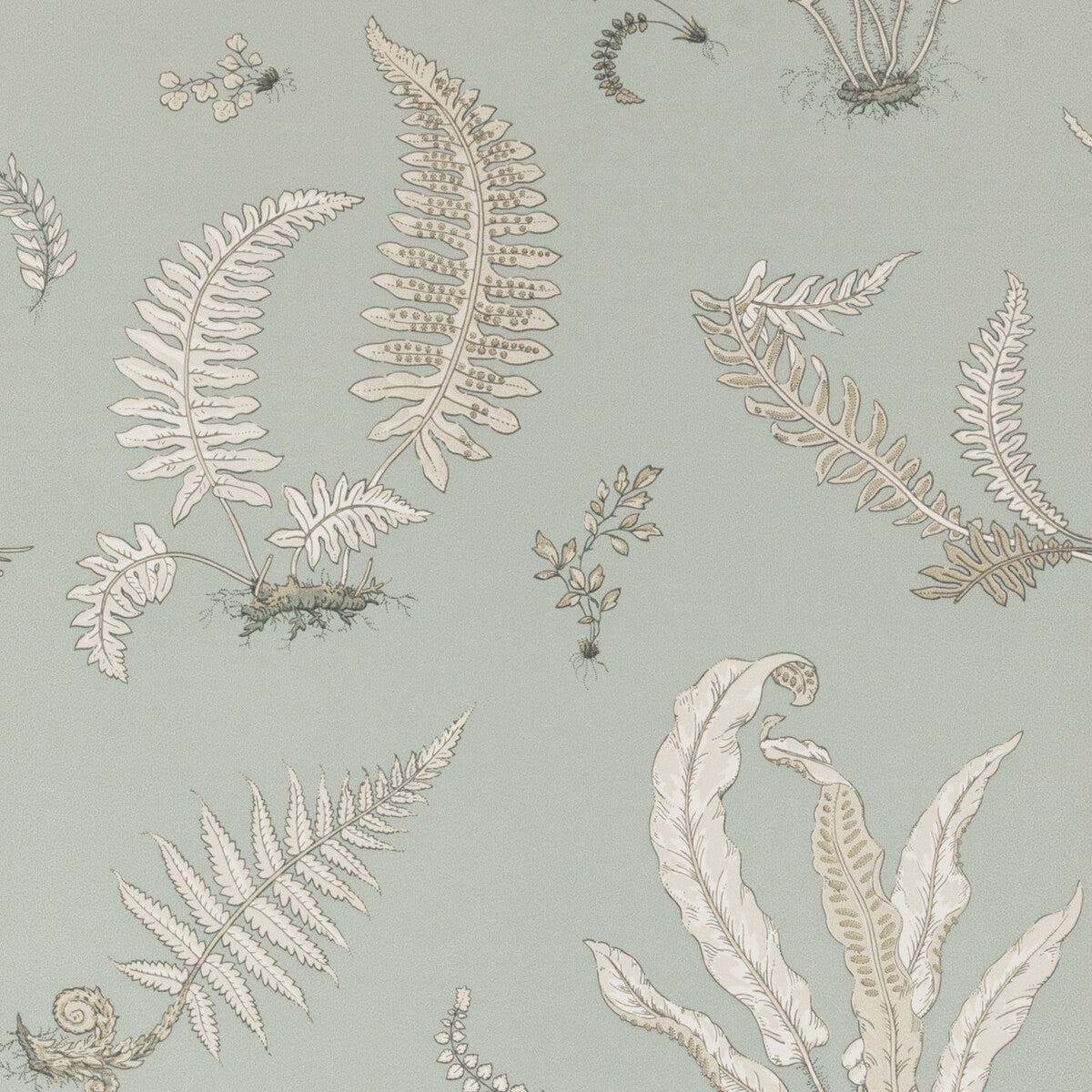 Ferns-Soft Blue