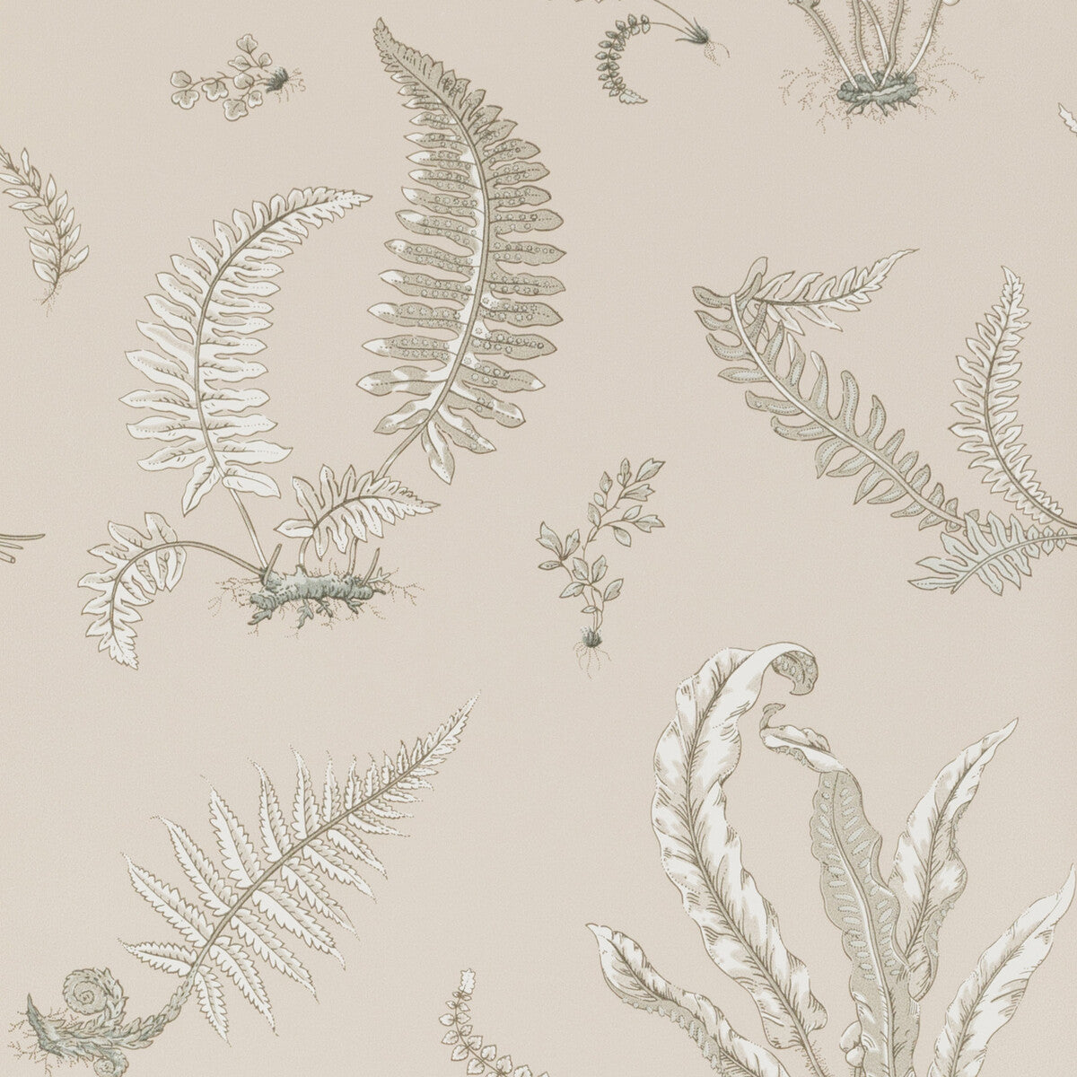 Ferns-Linen