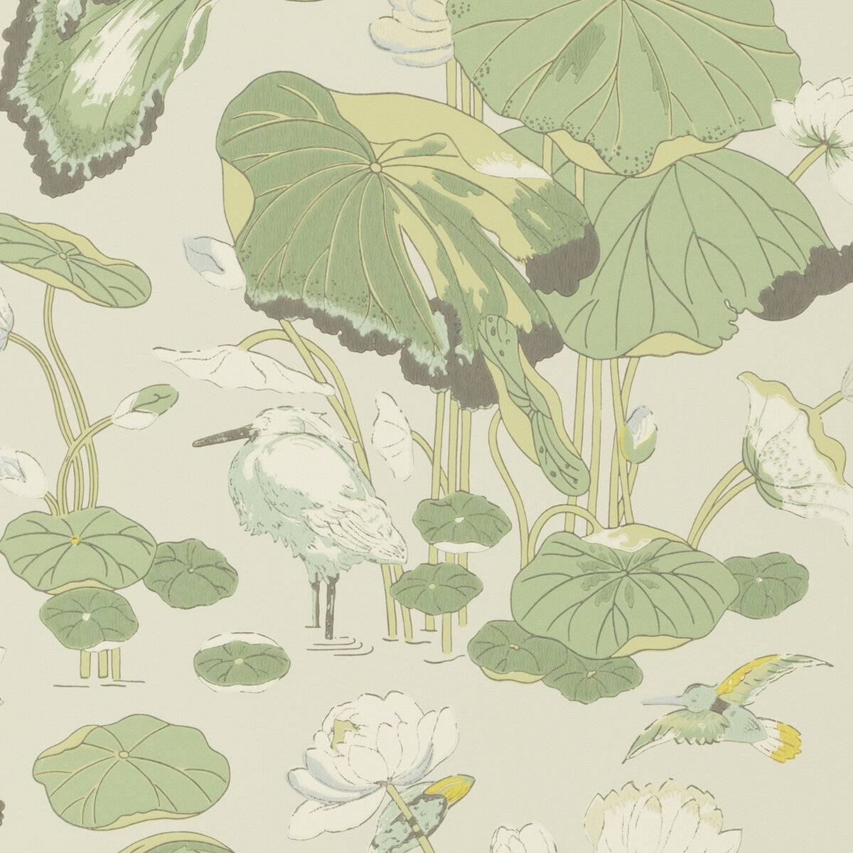 Nympheus-Botanical