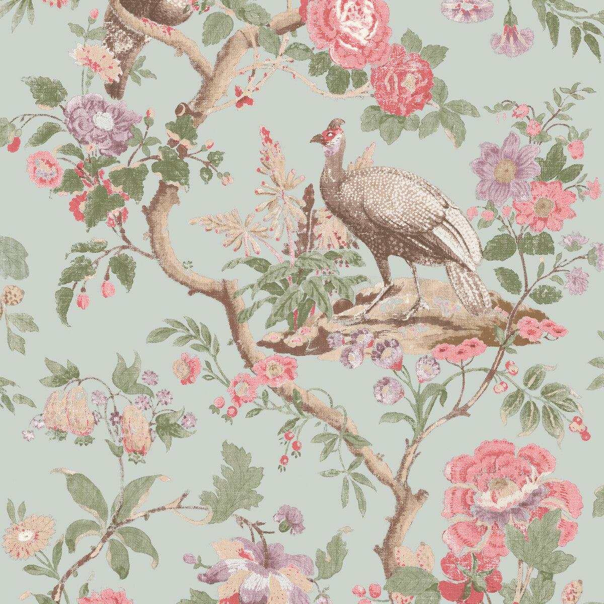 Broughton Rose-Aqua