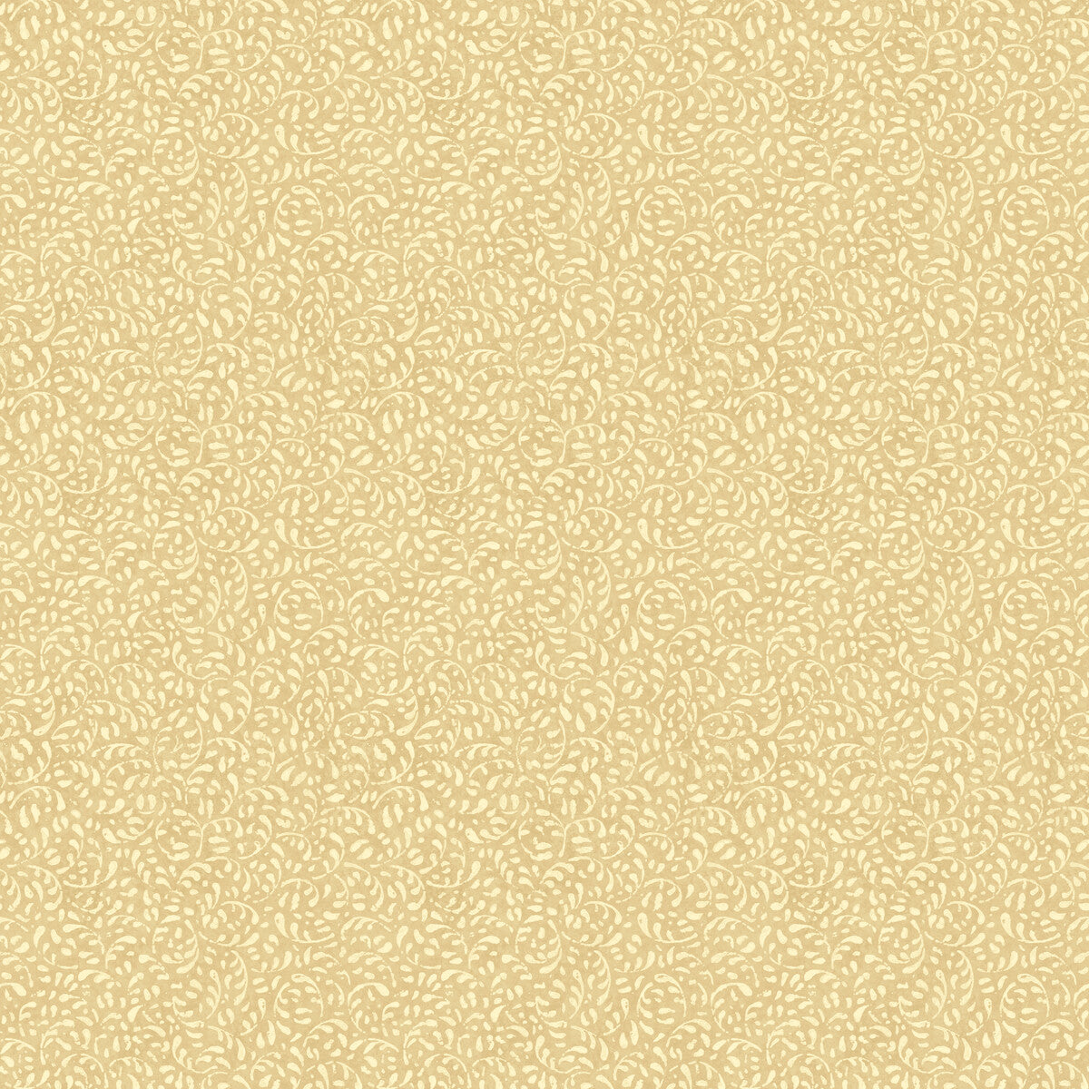 Tansy-Parchment