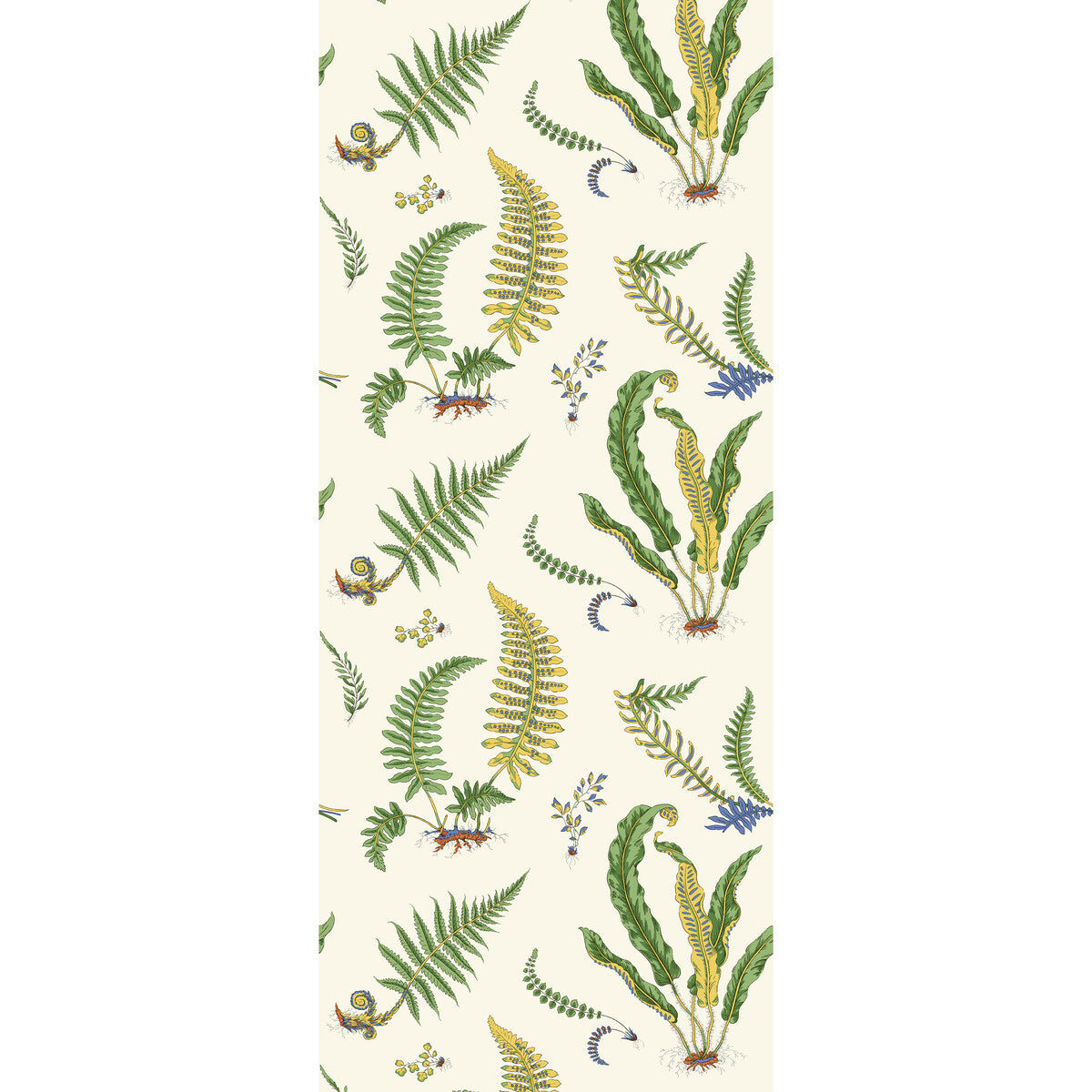 Ferns-Emerald