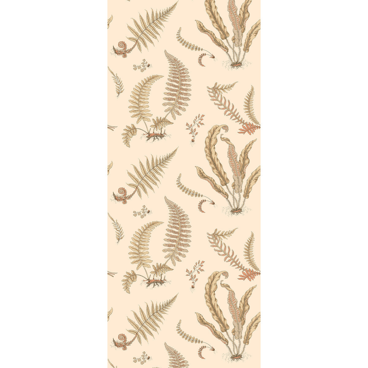 Ferns-Parchment