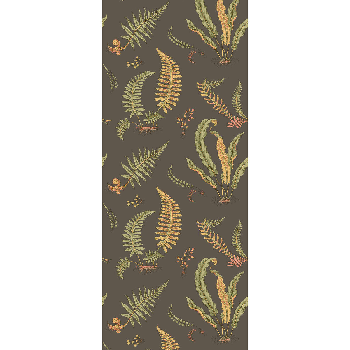 Ferns-Charcoal