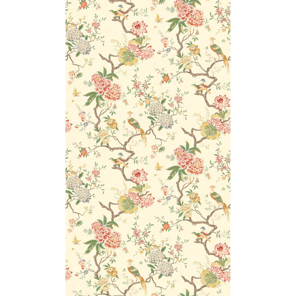 Oriental Bird-Blossom