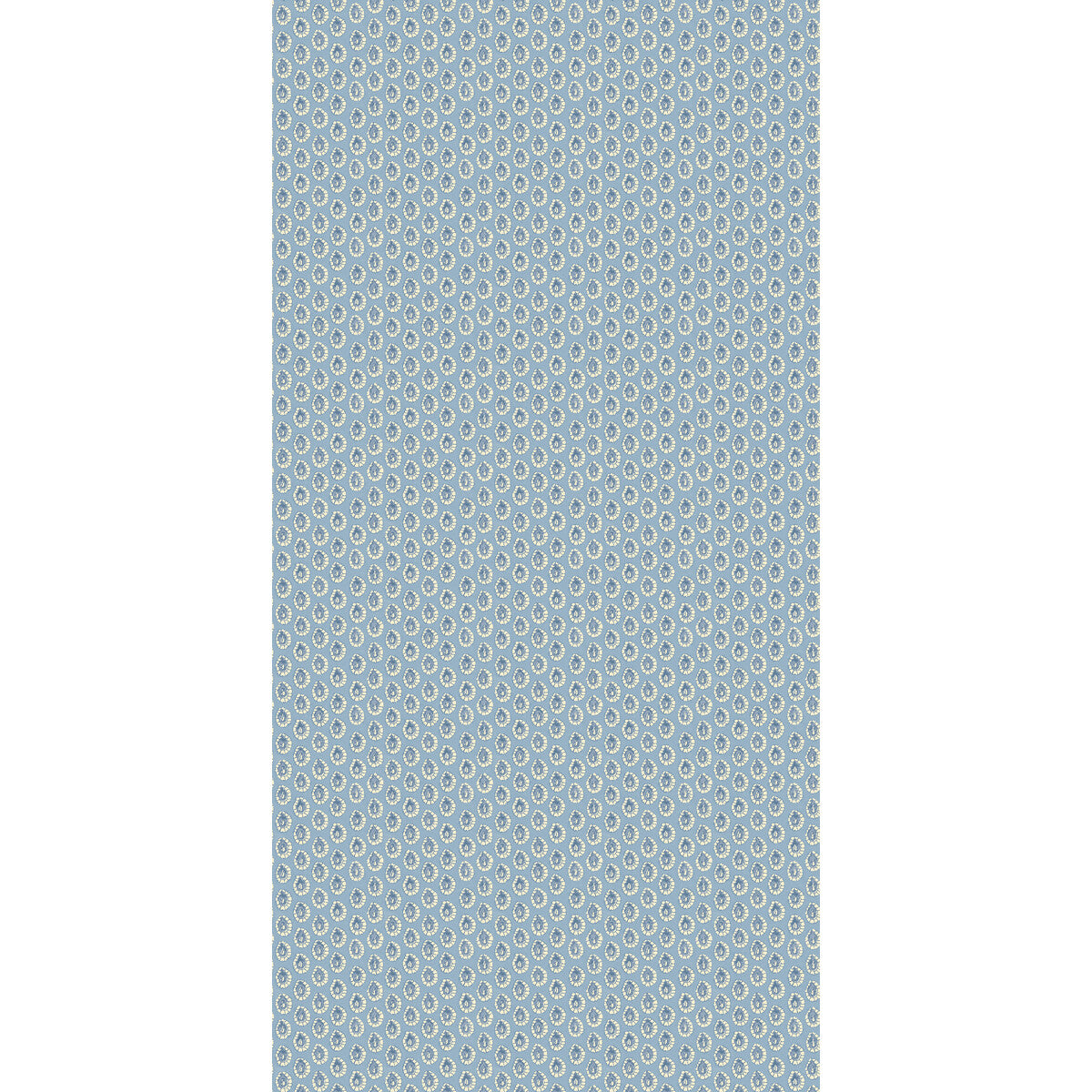 Dotty-Blue