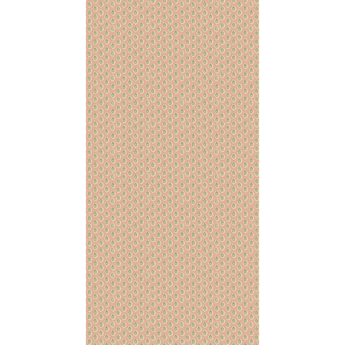 Dotty-Blush