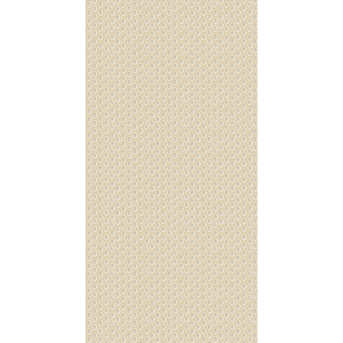 Dotty-Parchment