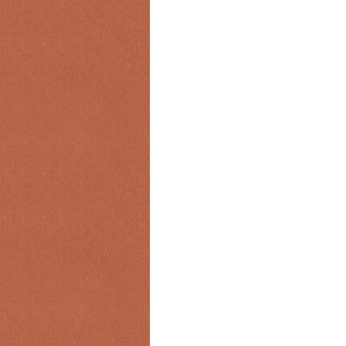 Cubby-Clementine
