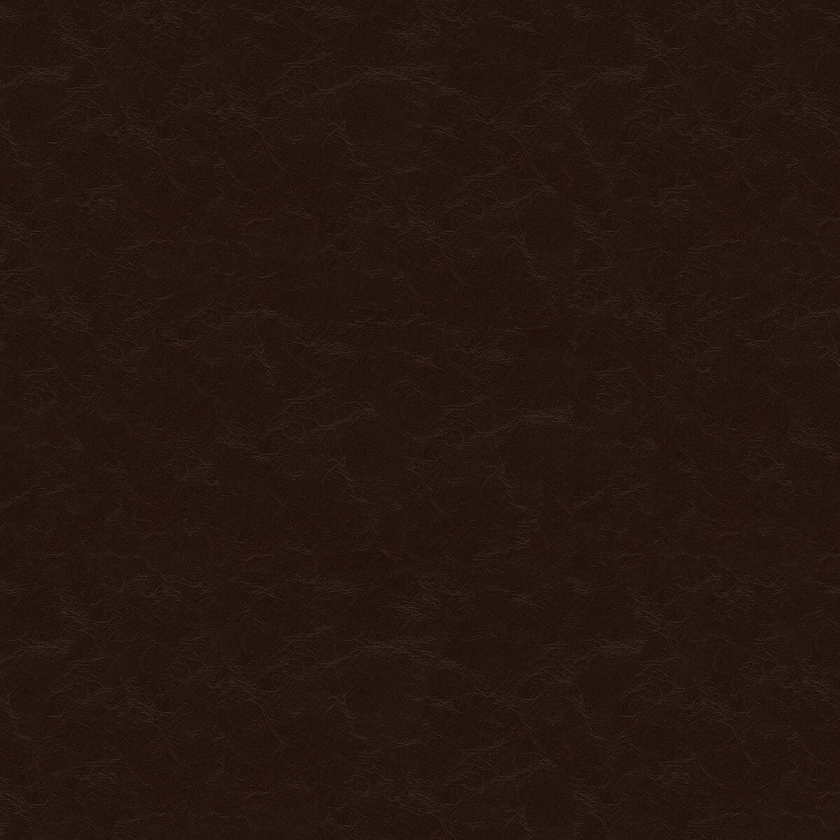 Captured-Ganache