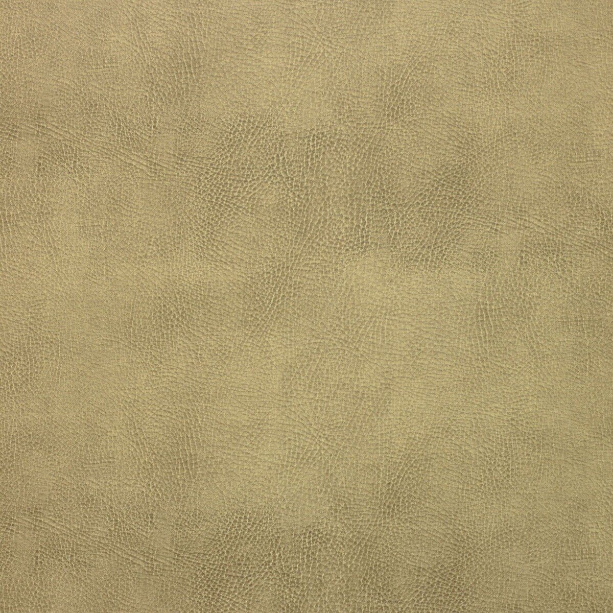 Kravet Design-Caswell-16