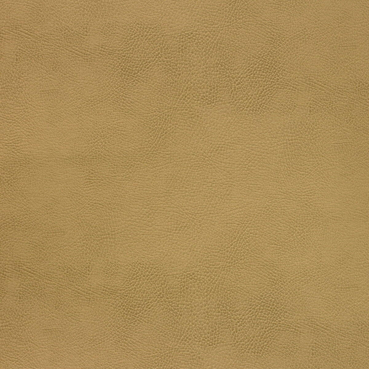 Kravet Design-Caswell-4