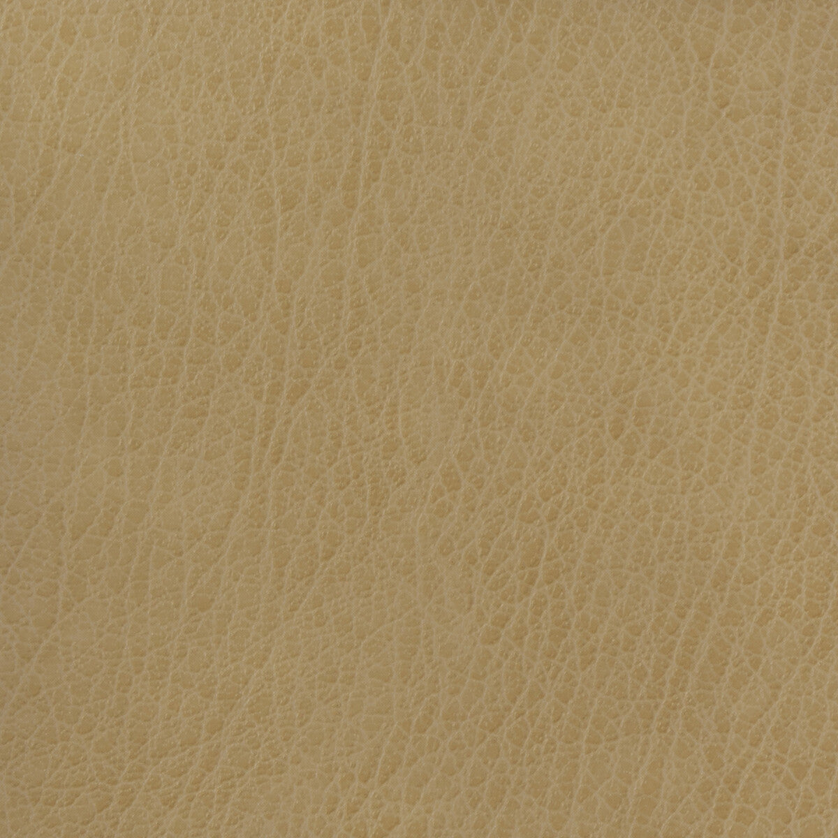 Kravet Basics-Celine-106