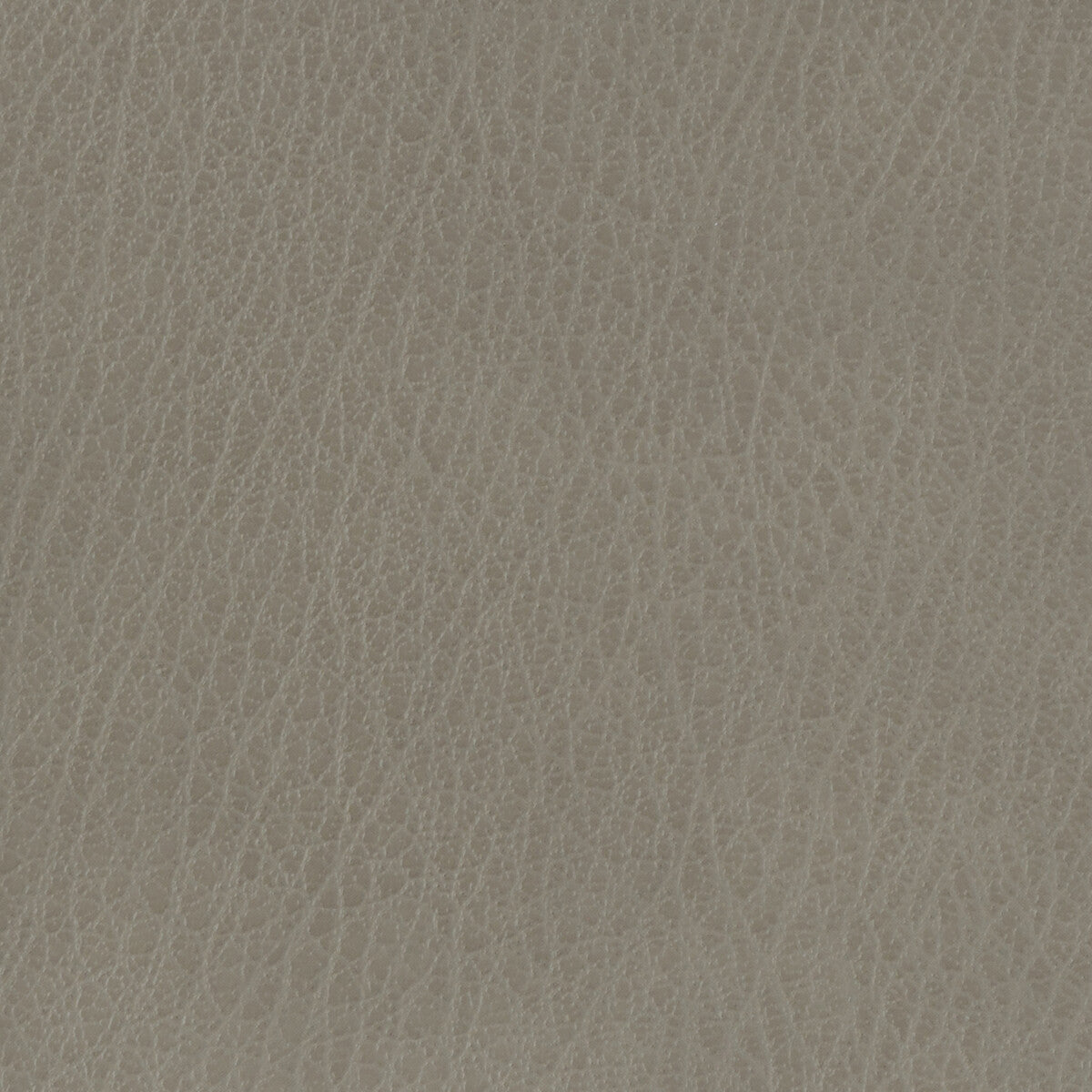 Kravet Basics-Celine-11