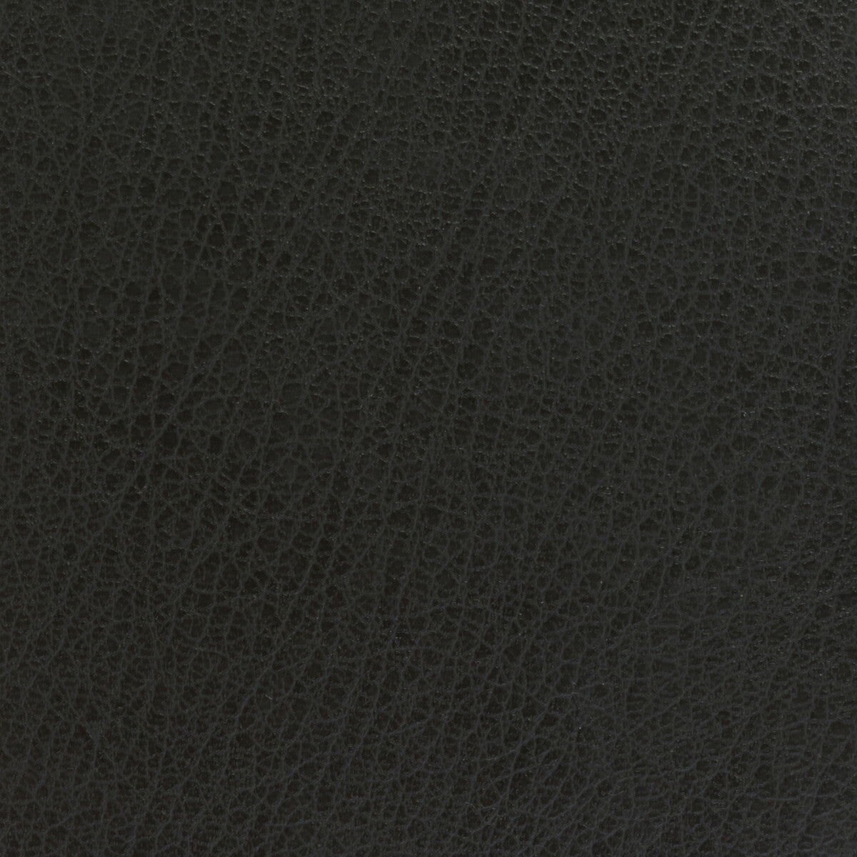 Kravet Basics-Celine-21
