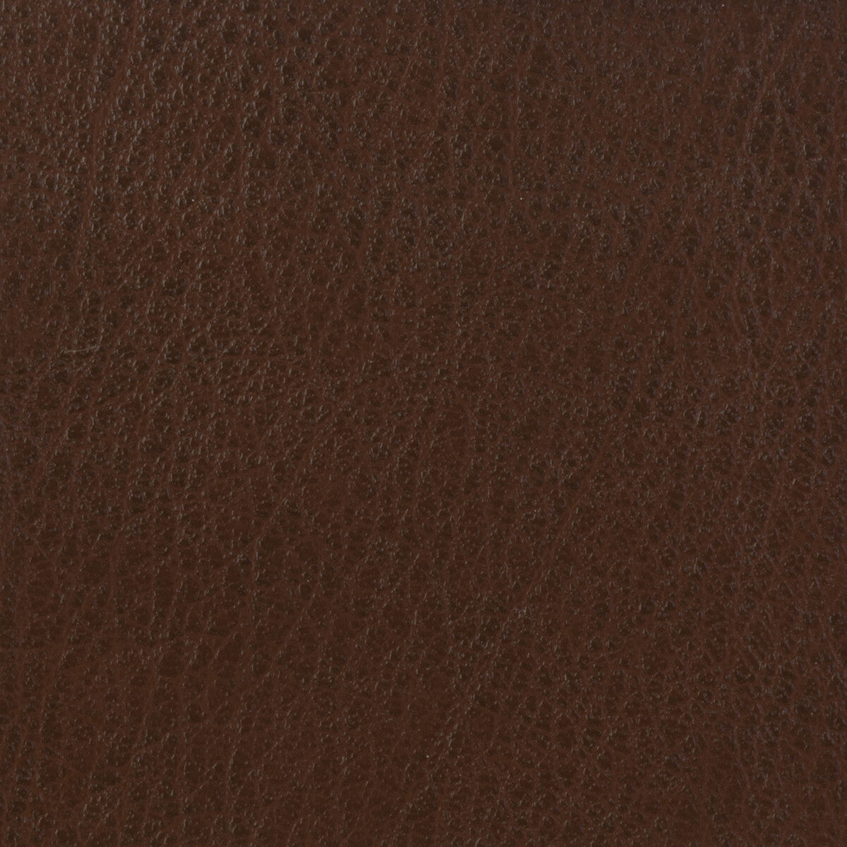 Kravet Basics-Celine-616