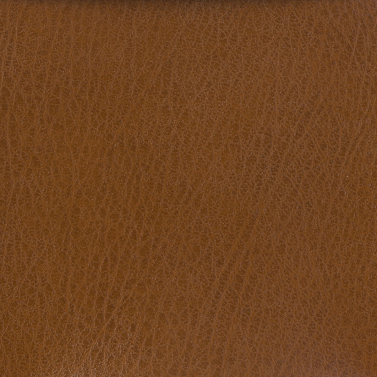 Kravet Basics-Celine-6