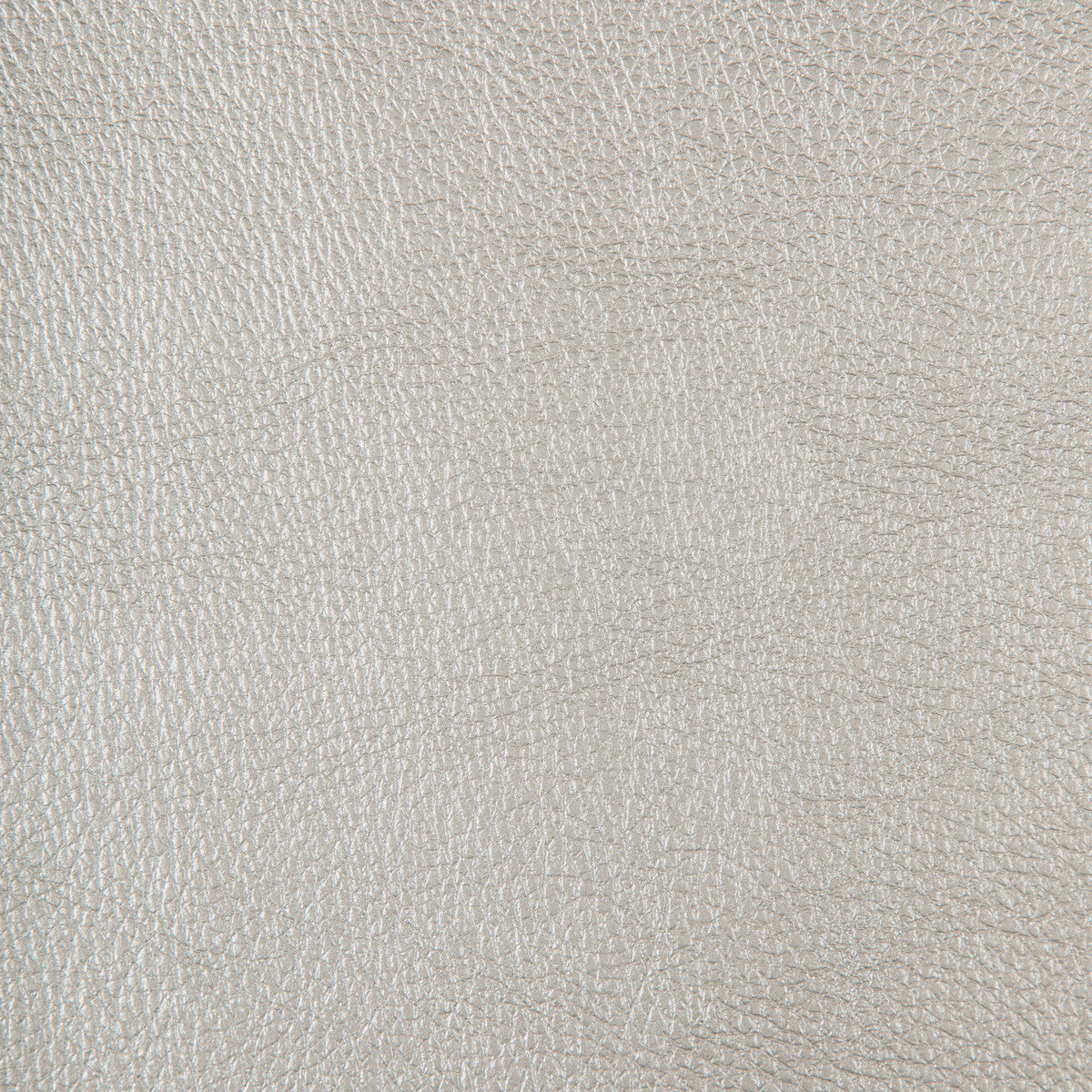 Kravet Design-Chrome-11