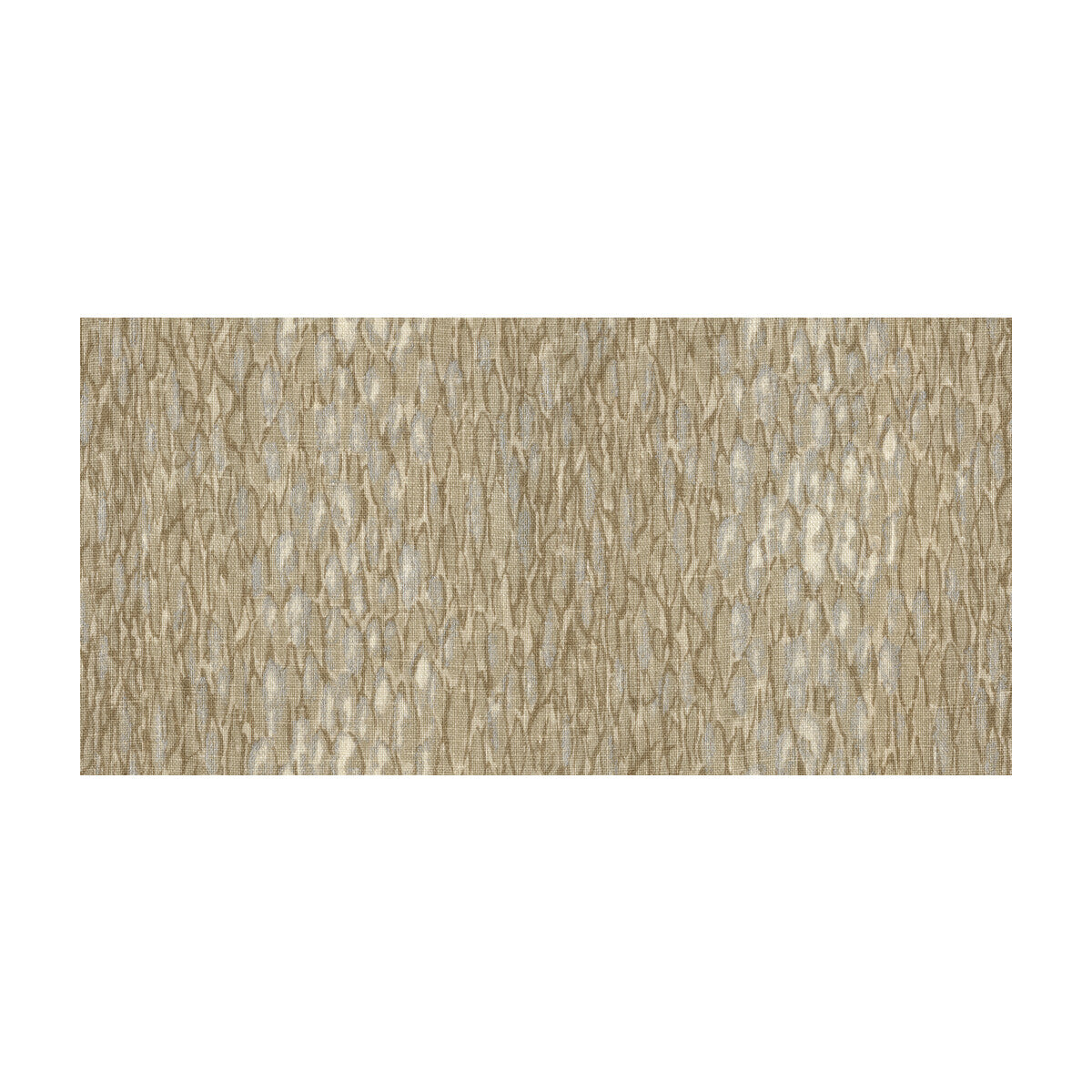 Chromis-Pumice