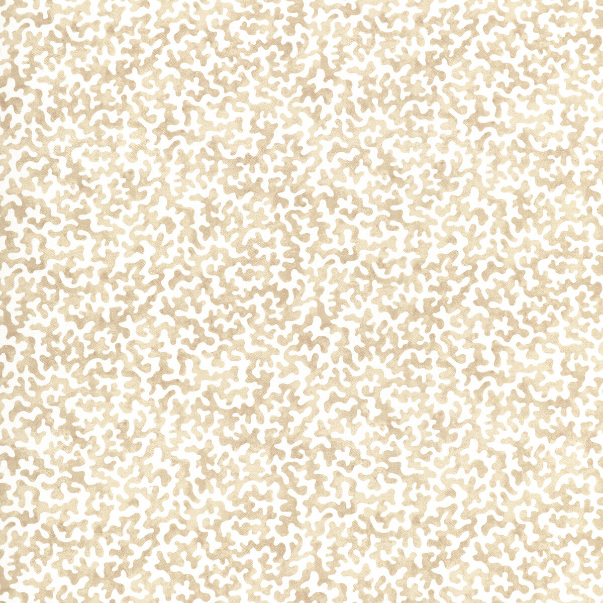 Coralcoast-Sand