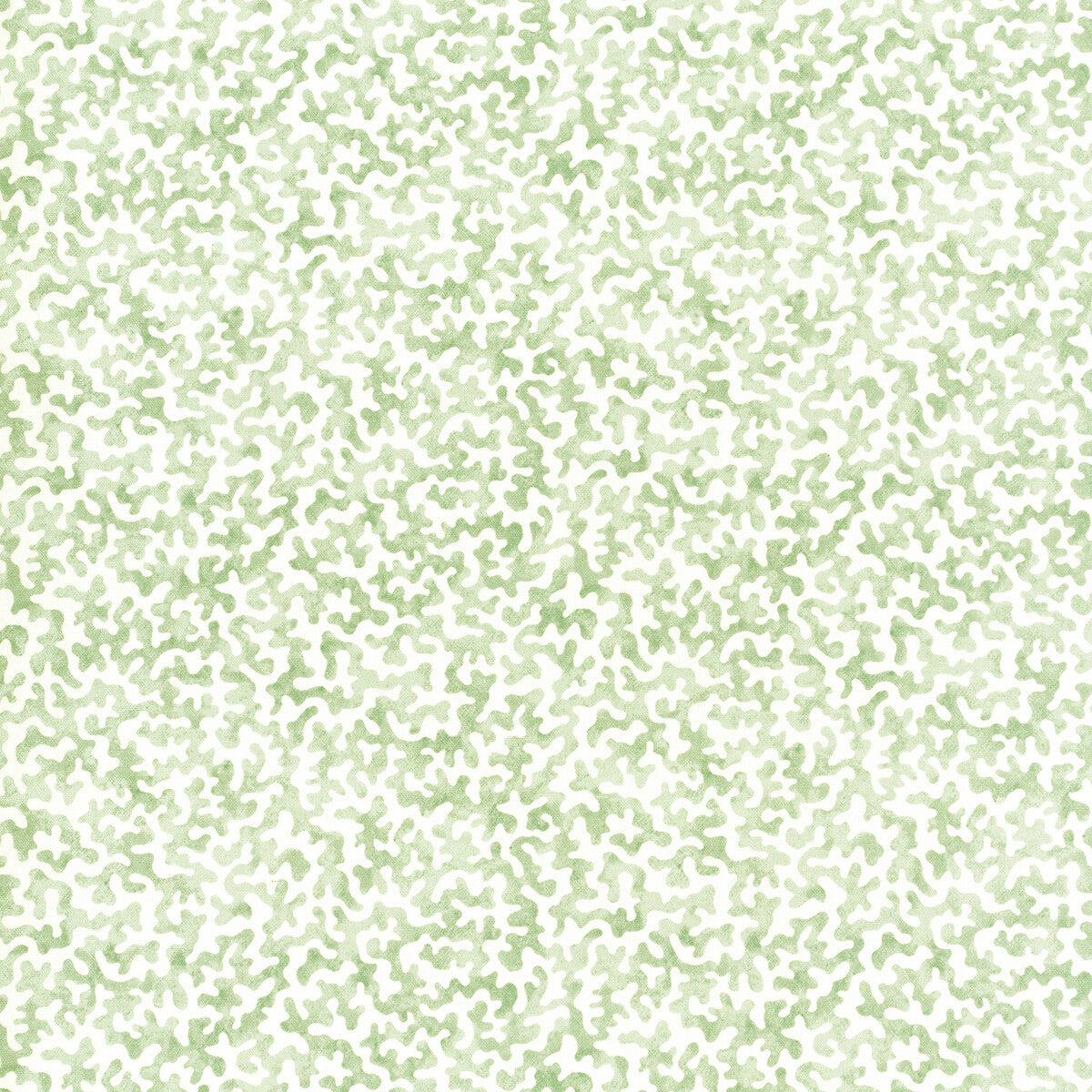Coralcoast-Sage