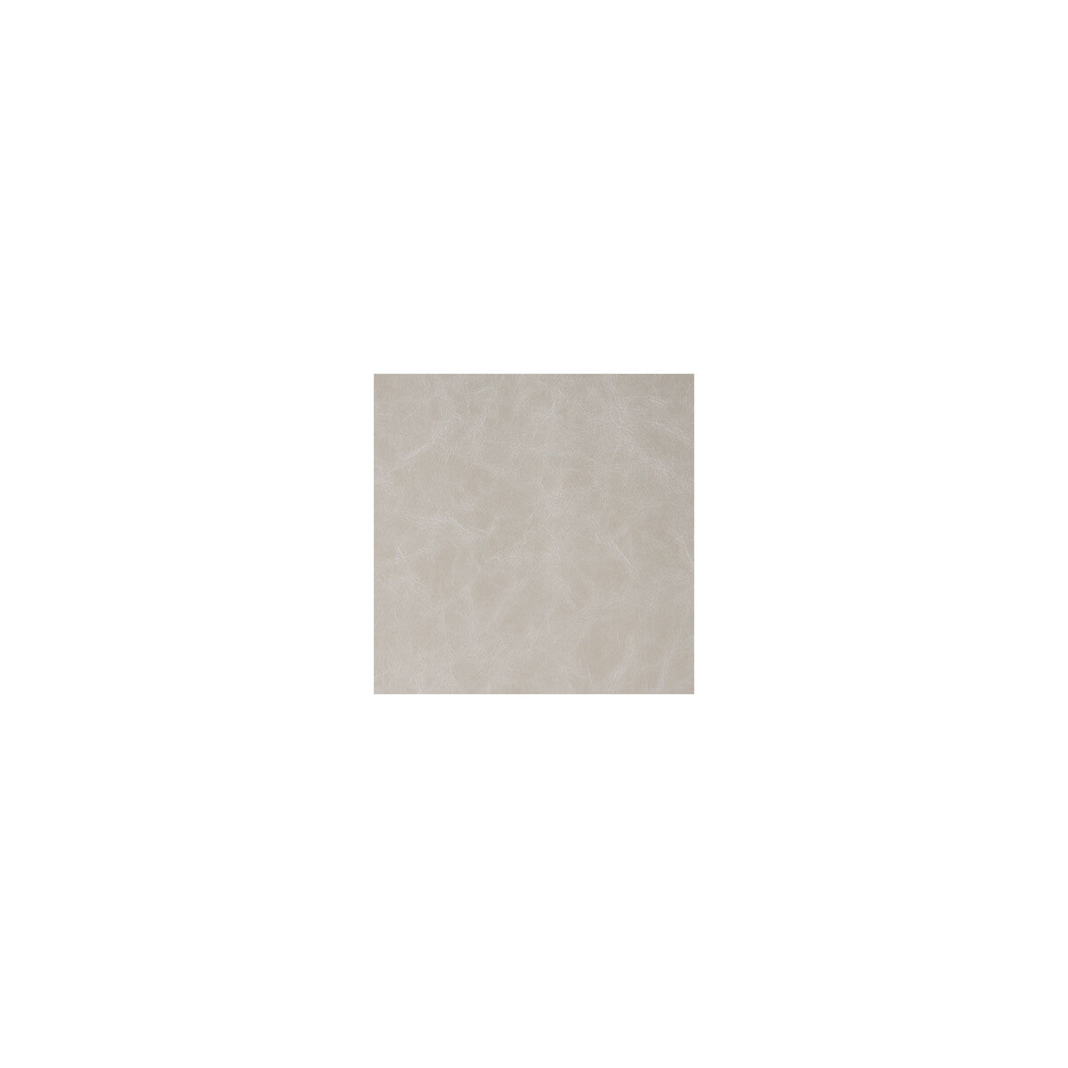 Daytripper-Shale