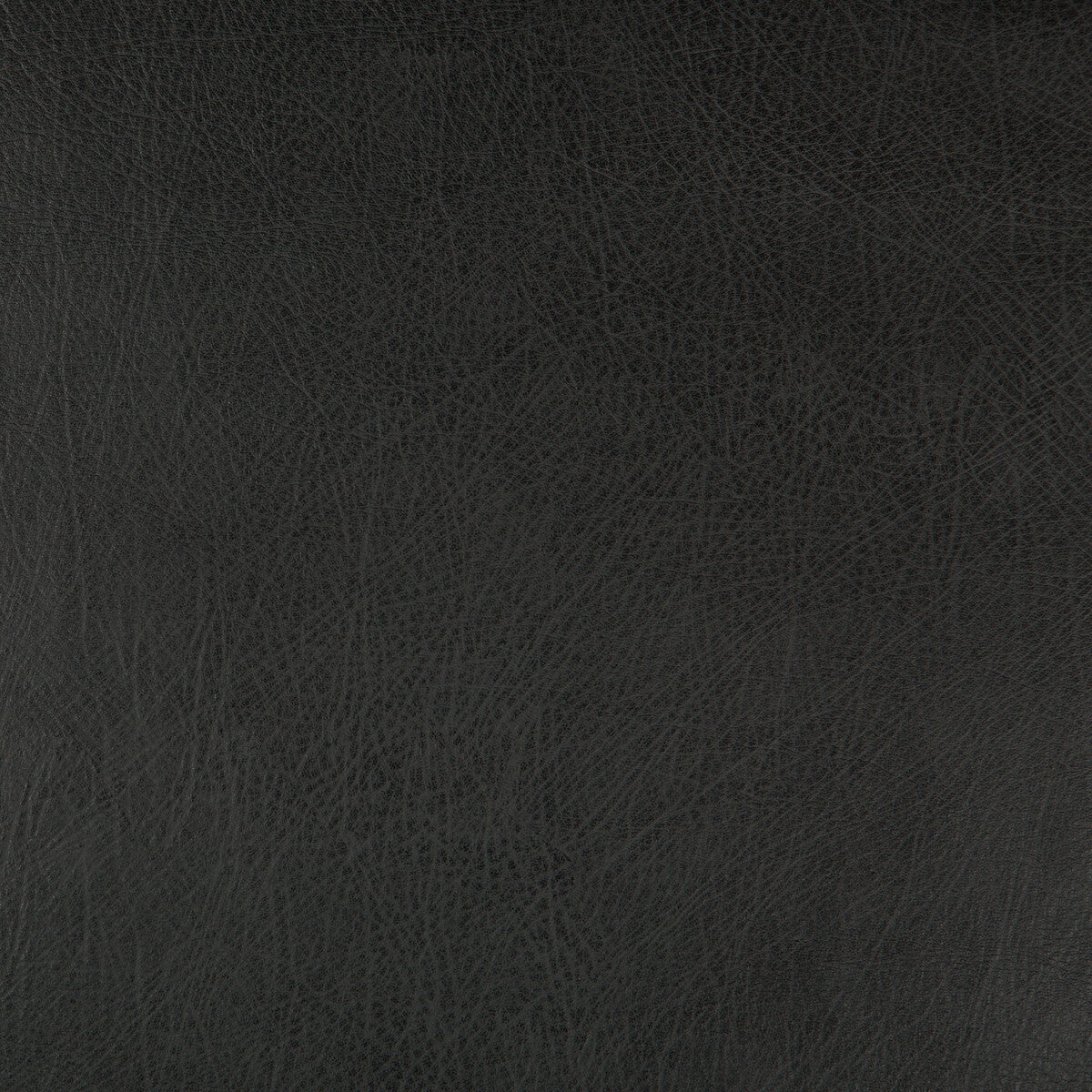 Kravet Design-Deimos-8