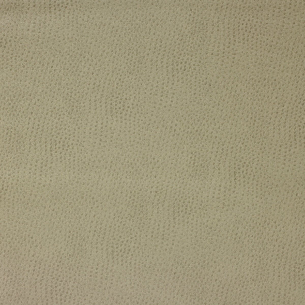 Kravet Design-Delaney-106
