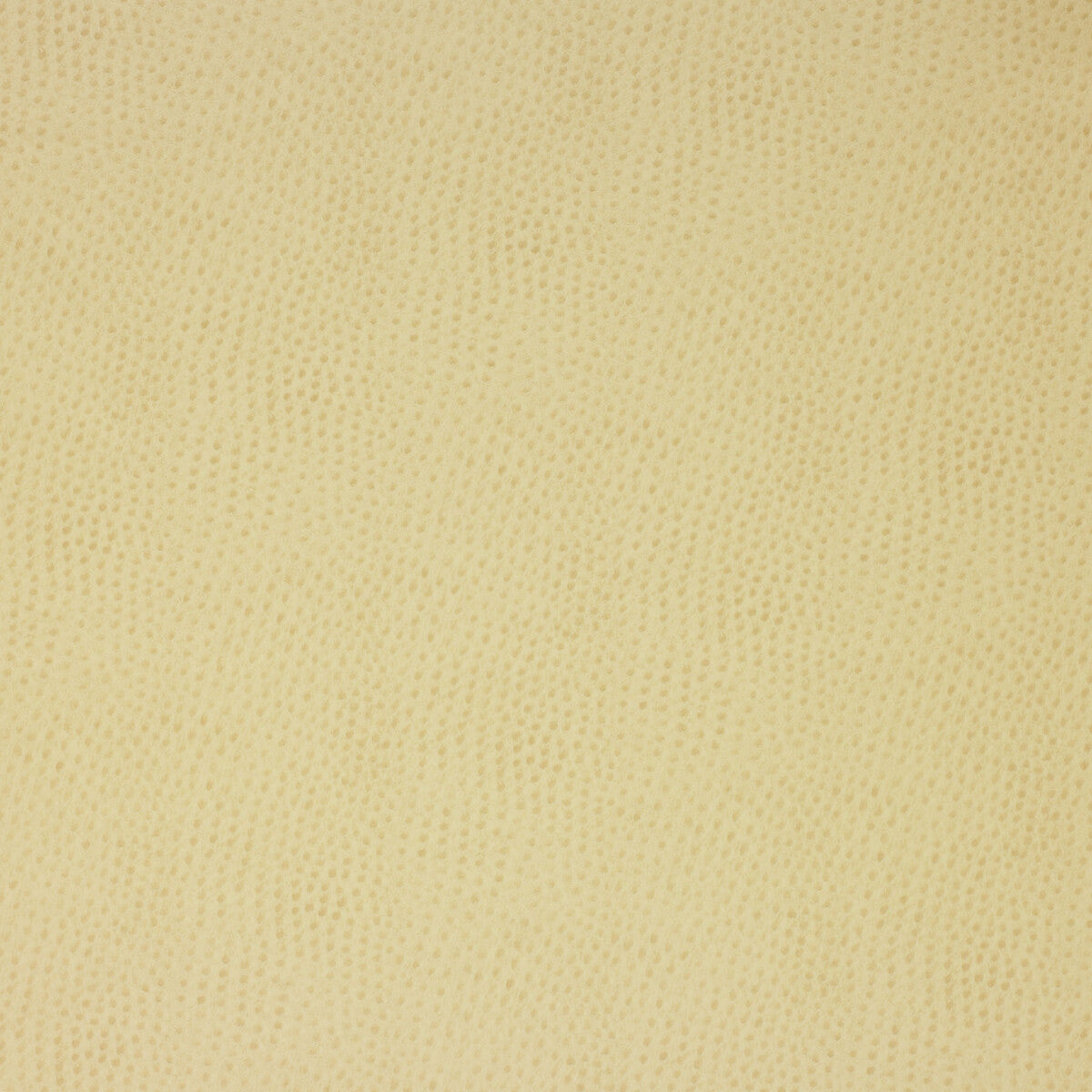 Kravet Design-Delaney-116