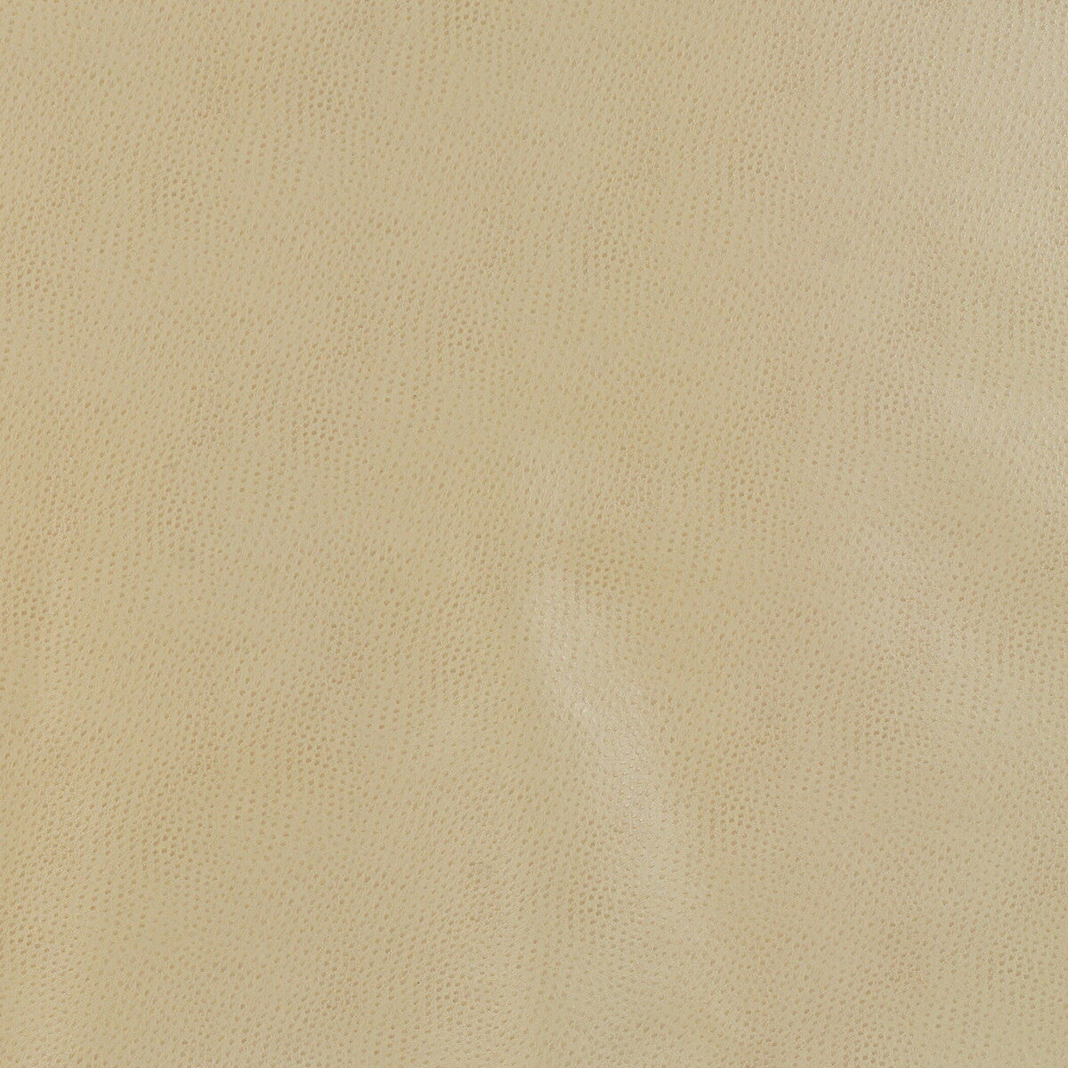Kravet Design-Delaney-16