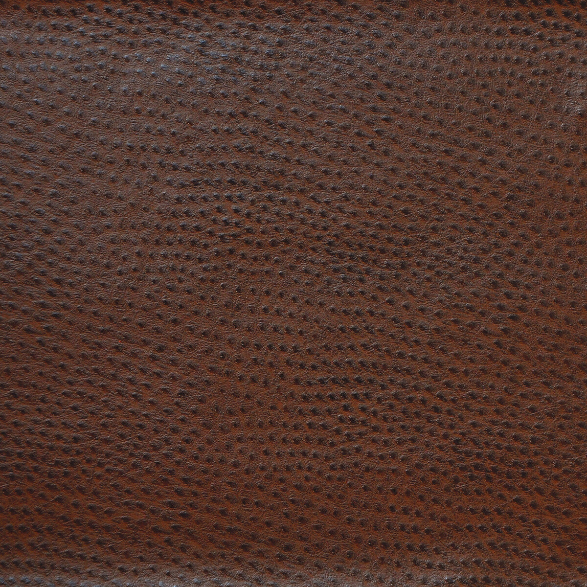 Kravet Design-Delaney-66
