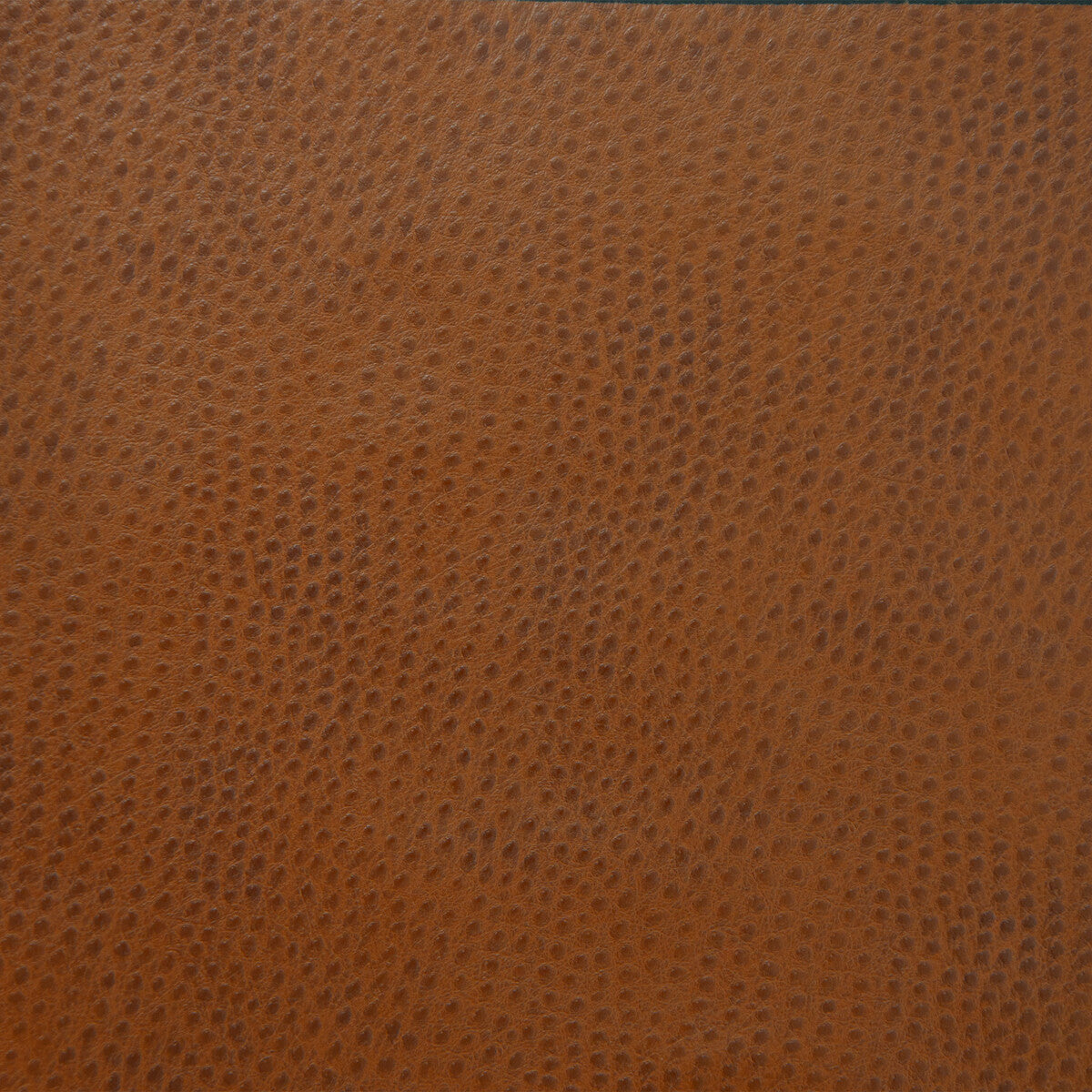 Kravet Design-Delaney-6