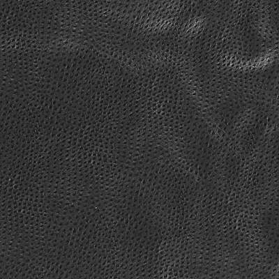 Kravet Design-Delaney-8