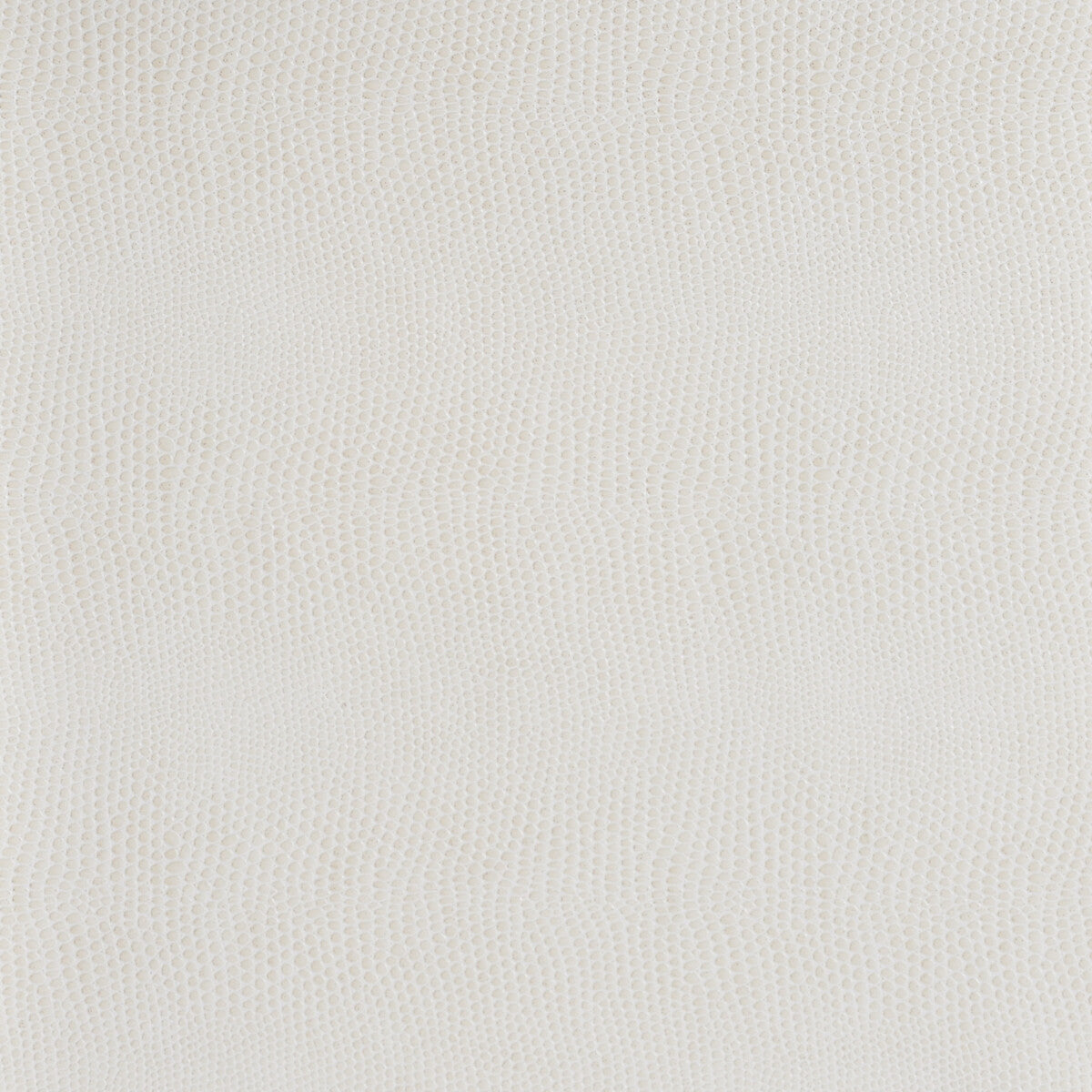 Kravet Design-Derek-1