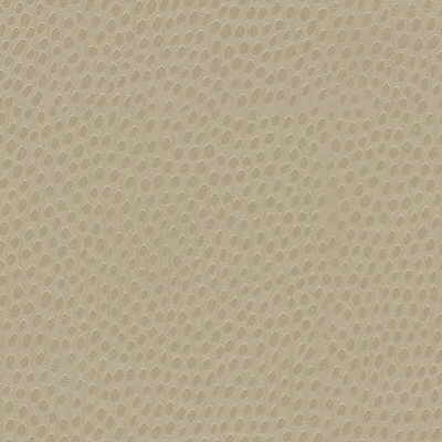 Dewdrops-Sand