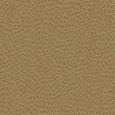 Kravet Design-Dewdrops-4