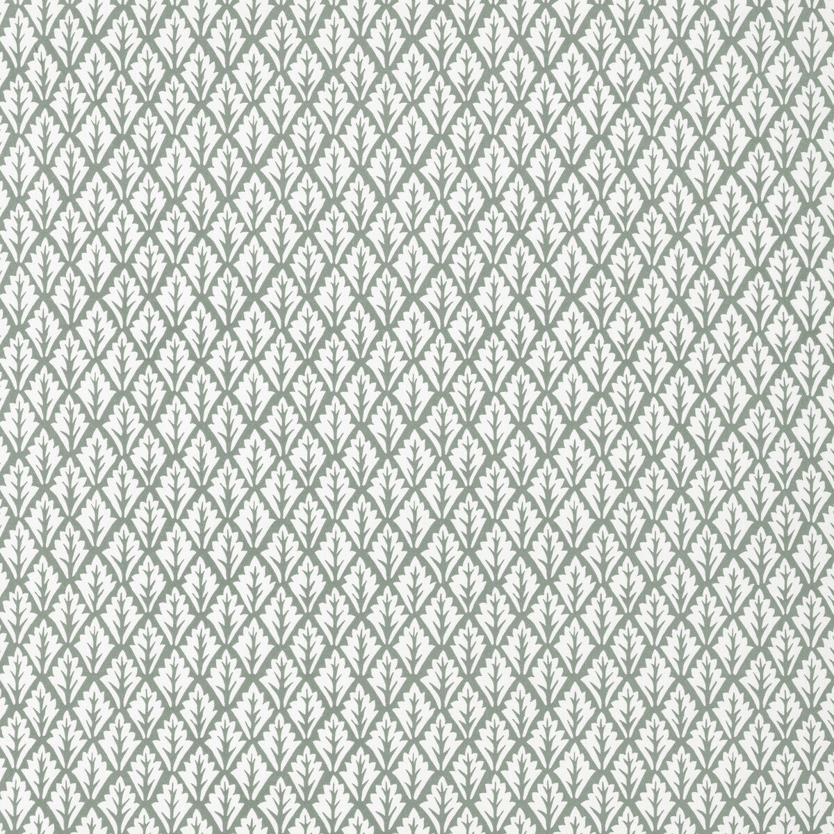 Dorso-Pewter