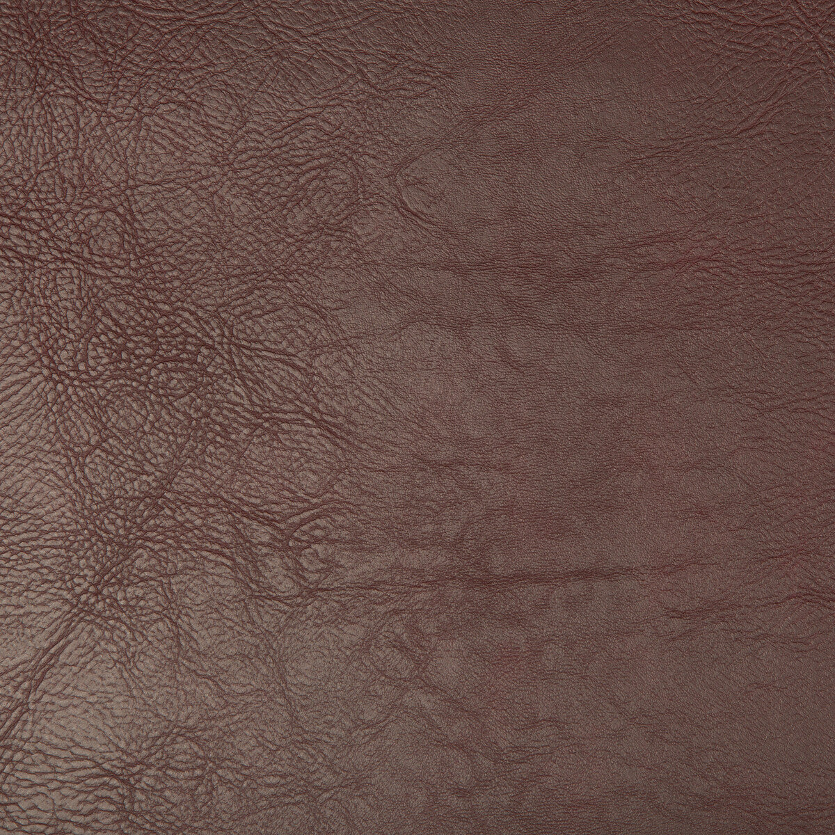 Kravet Design-Duane-9